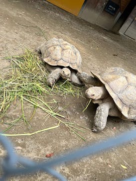 到津の森公園に投稿された画像（2023/6/28）