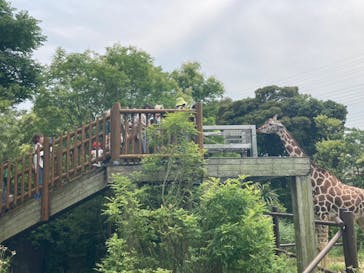 到津の森公園に投稿された画像（2023/6/28）