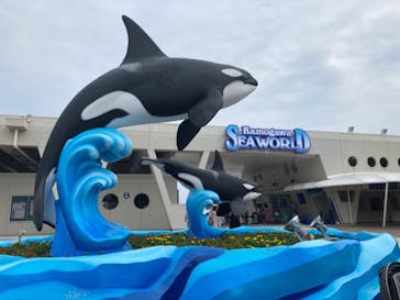 鴨川シーワールドに投稿された画像（2023/6/28）