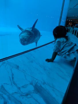 マリンワールド海の中道に投稿された画像（2023/6/28）