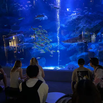 すみだ水族館に投稿された画像（2023/6/28）