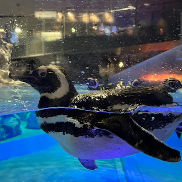 すみだ水族館に投稿された画像（2023/6/28）