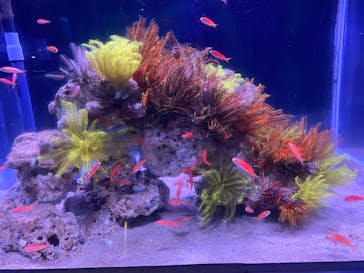 伊豆・三津シーパラダイスに投稿された画像（2023/6/28）