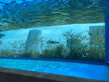 サンシャイン水族館に投稿された画像（2023/6/28）