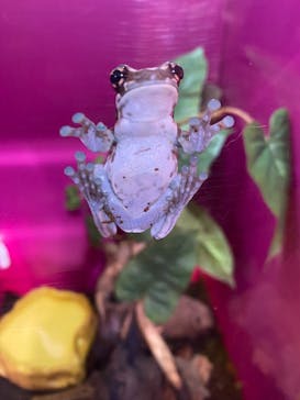 サンシャイン水族館に投稿された画像（2023/6/28）