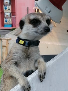 那須ハイランドパークに投稿された画像（2023/6/28）