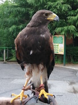 那須ハイランドパークに投稿された画像（2023/6/28）