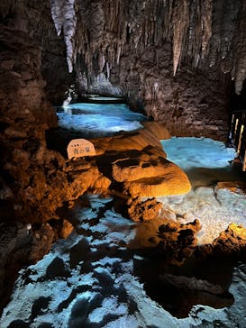 おきなわワールドに投稿された画像（2023/6/28）