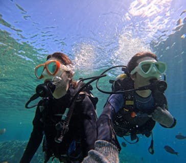 沖縄マリンサービス碧に投稿された画像（2023/6/29）