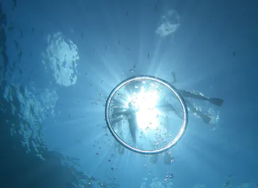 武藤潜水に投稿された画像（2023/6/29）