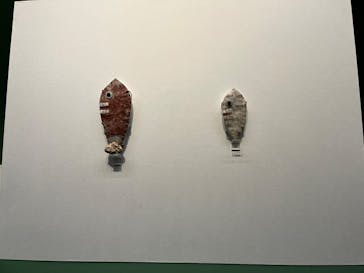 特別展「古代メキシコーマヤ、アステカ、テオティワカン」に投稿された画像（2023/6/29）