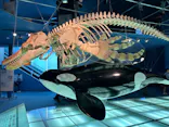 名古屋港水族館に投稿された画像（2023/6/29）