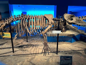 名古屋港水族館に投稿された画像（2023/6/29）