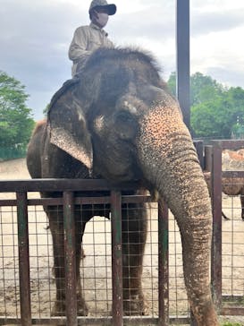 那須サファリパークに投稿された画像（2023/6/29）