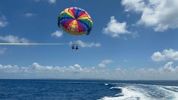 Sea World（シーワールド）に投稿された画像（2023/6/29）