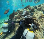 沖縄マリンサービス碧に投稿された画像（2023/6/29）