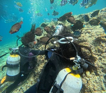 沖縄マリンサービス碧に投稿された画像（2023/6/29）