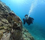 DIVING-SHOP SUNSに投稿された画像（2023/6/29）