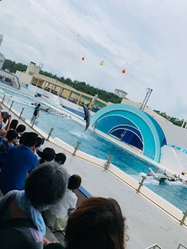 鴨川シーワールドに投稿された画像（2023/6/29）