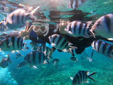 武藤潜水に投稿された画像（2023/6/29）