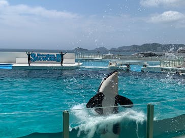 鴨川シーワールドに投稿された画像（2023/6/29）