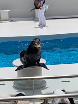 鴨川シーワールドに投稿された画像（2023/6/29）