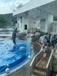 九十九島水族館海きららに投稿された画像（2023/6/29）