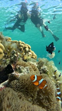 オースリーシュノーケル宮古島に投稿された画像（2023/6/29）