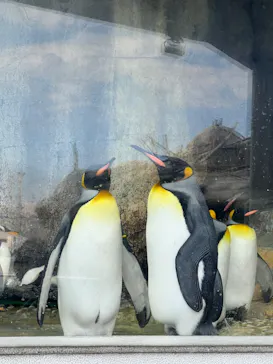 仙台うみの杜水族館に投稿された画像（2023/6/29）