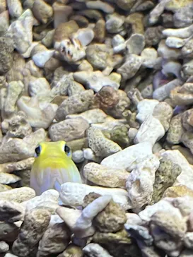 仙台うみの杜水族館に投稿された画像（2023/6/29）