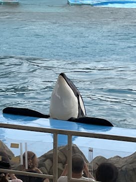 名古屋港水族館に投稿された画像（2023/6/29）