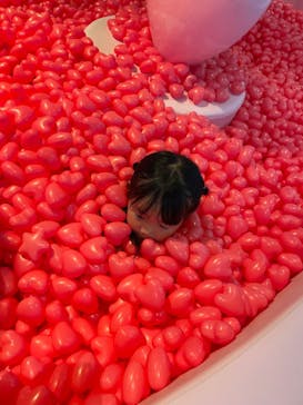 ハピピランド ラグーナ蒲郡に投稿された画像（2023/6/29）