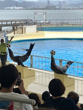 マリンワールド海の中道に投稿された画像（2023/6/29）