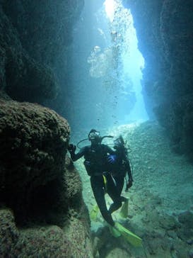 リーファーズに投稿された画像（2023/6/29）