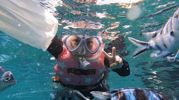 青の洞窟専門店　沖縄ダイビングショップ和に投稿された画像（2023/6/29）