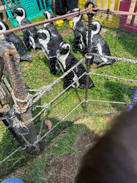 名古屋港水族館に投稿された画像（2023/6/29）