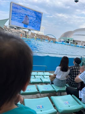 名古屋港水族館に投稿された画像（2023/6/29）