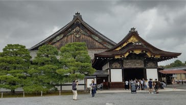 元離宮二条城に投稿された画像（2023/6/30）