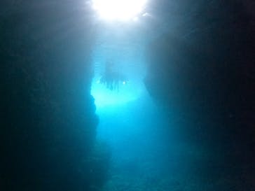 沖縄マリンサービス碧に投稿された画像（2023/6/30）