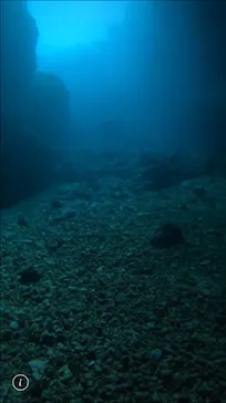 武藤潜水に投稿された画像（2023/6/30）