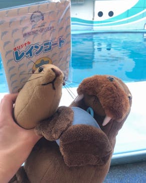 南知多ビーチランド＆南知多おもちゃ王国に投稿された画像（2023/6/30）