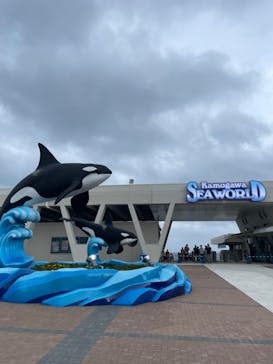 鴨川シーワールドに投稿された画像（2023/6/30）