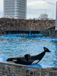 名古屋港水族館に投稿された画像（2023/6/30）