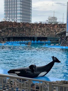 名古屋港水族館に投稿された画像（2023/6/30）