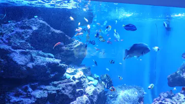 仙台うみの杜水族館に投稿された画像（2023/6/30）