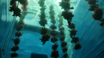 仙台うみの杜水族館に投稿された画像（2023/6/30）