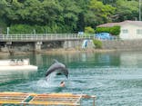 下田海中水族館に投稿された画像（2023/6/30）