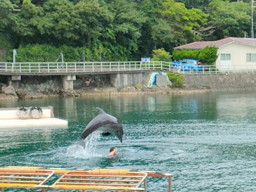 下田海中水族館に投稿された画像（2023/6/30）