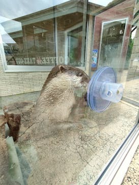 下田海中水族館に投稿された画像（2023/6/30）