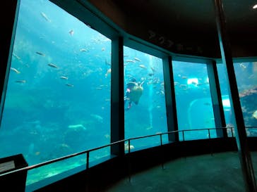 下田海中水族館に投稿された画像（2023/6/30）